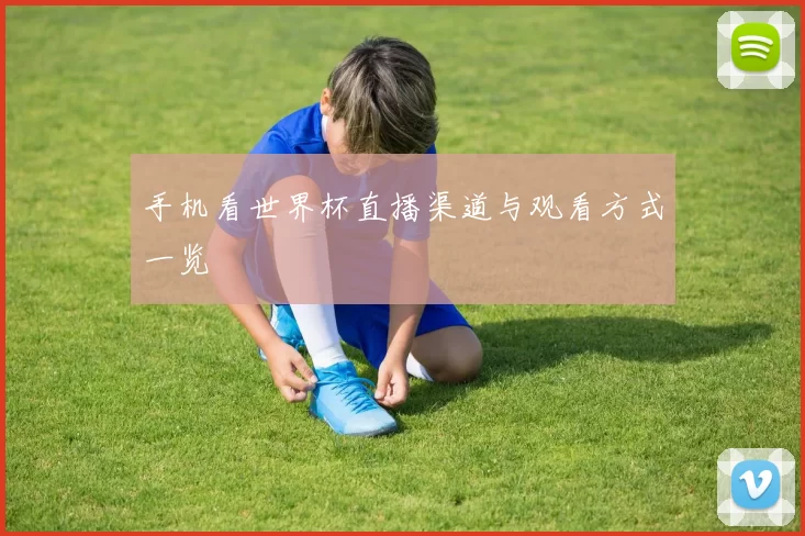 手机看世界杯直播渠道与观看方式一览