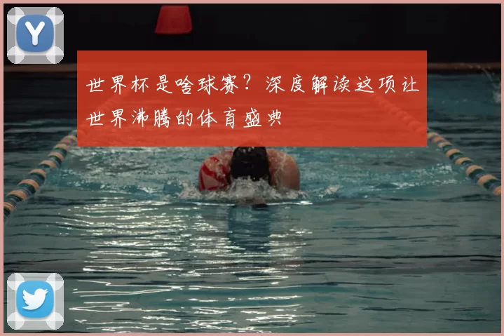 世界杯是啥球赛?深度解读这项让世界沸腾的体育盛典