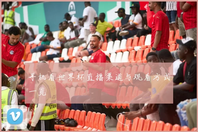 手机看世界杯直播渠道与观看方式一览