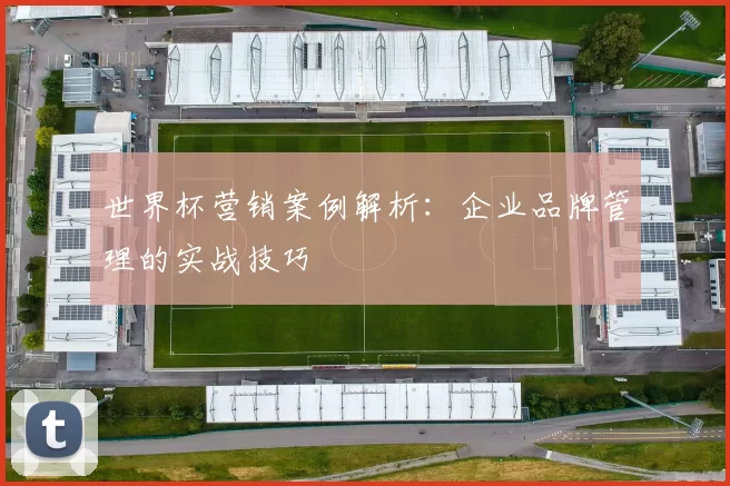 世界杯营销案例解析:企业品牌管理的实战技巧
