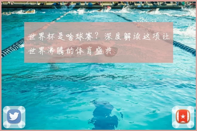 世界杯是啥球赛?深度解读这项让世界沸腾的体育盛典
